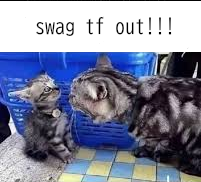 Lariss_ ☭ (@wbsatan) on Twitter photo 