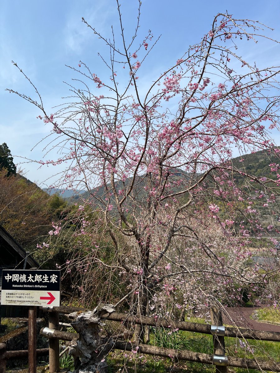 【公式】中岡慎太郎館 tweet media