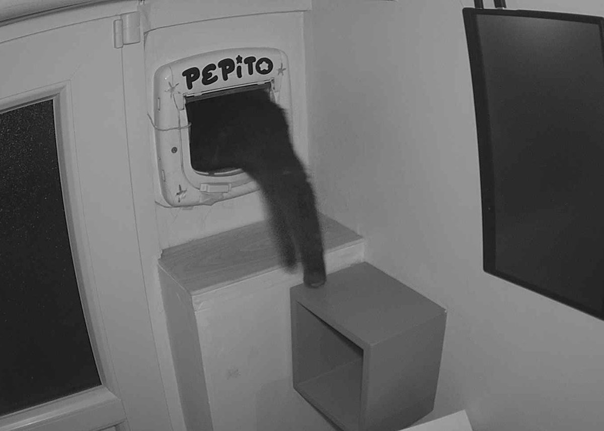 Pépito is out (05:38:15)