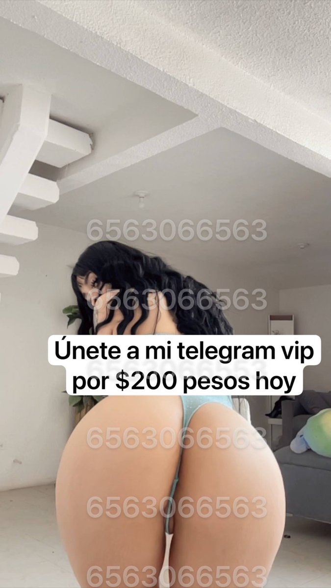 Vanessa Franco tweet media