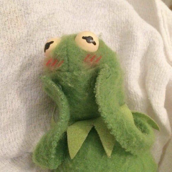 🔞 ShittyDrawnKermit🔞 tweet media