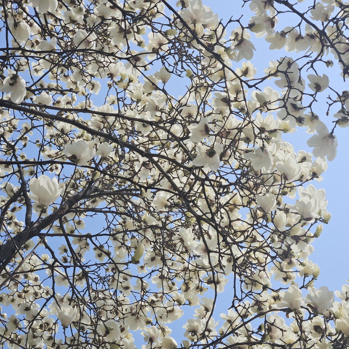 🌌밤🪡 tweet media