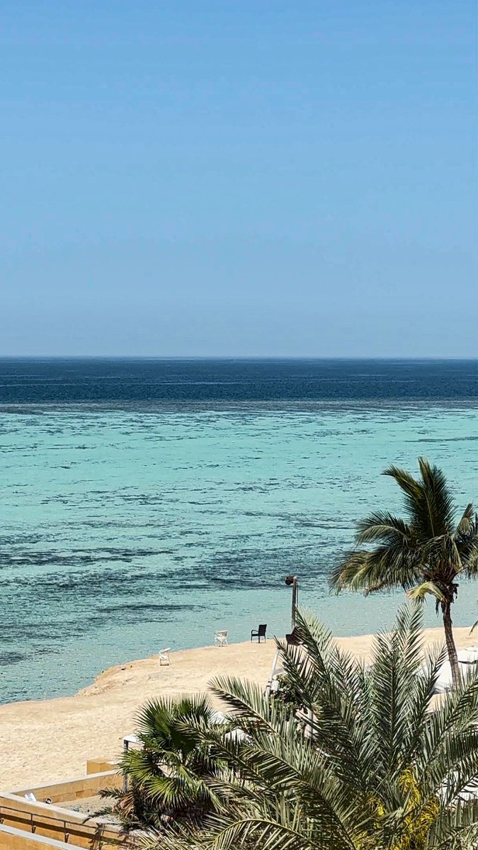 Gadah 🌊 tweet media