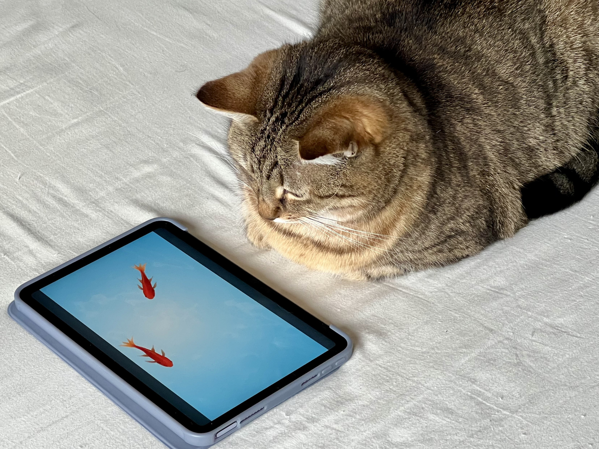 SmartMove tweet media