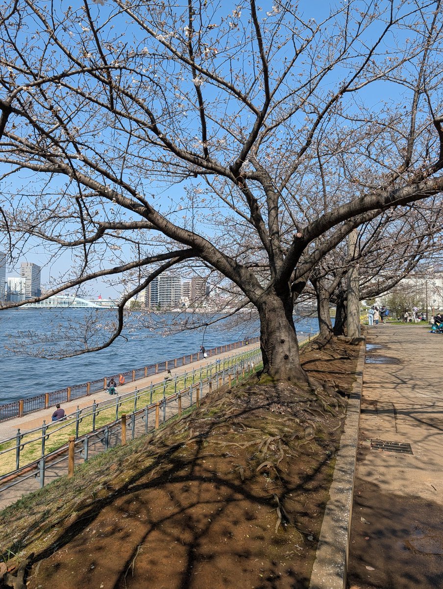 Hak Matsuda tweet media