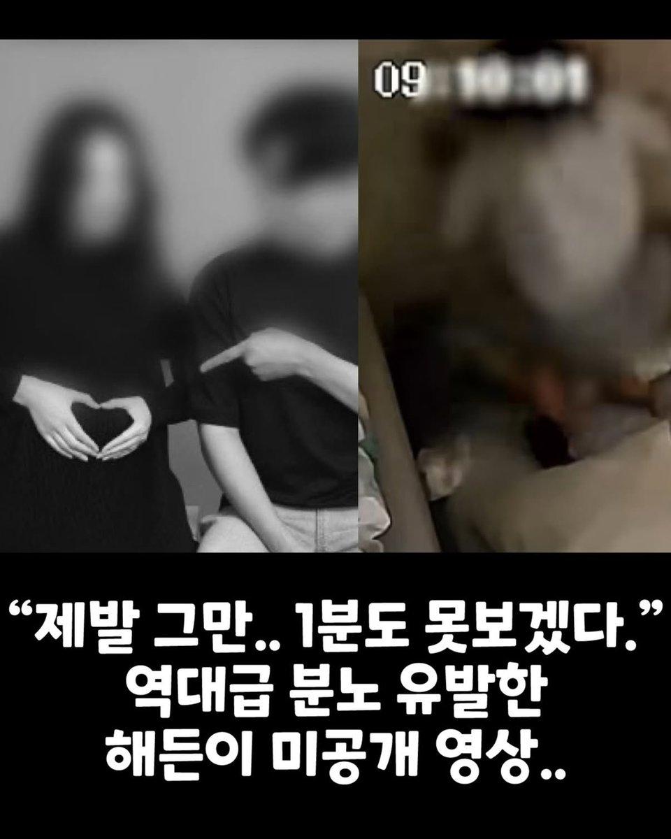 민주🇰🇷 tweet media