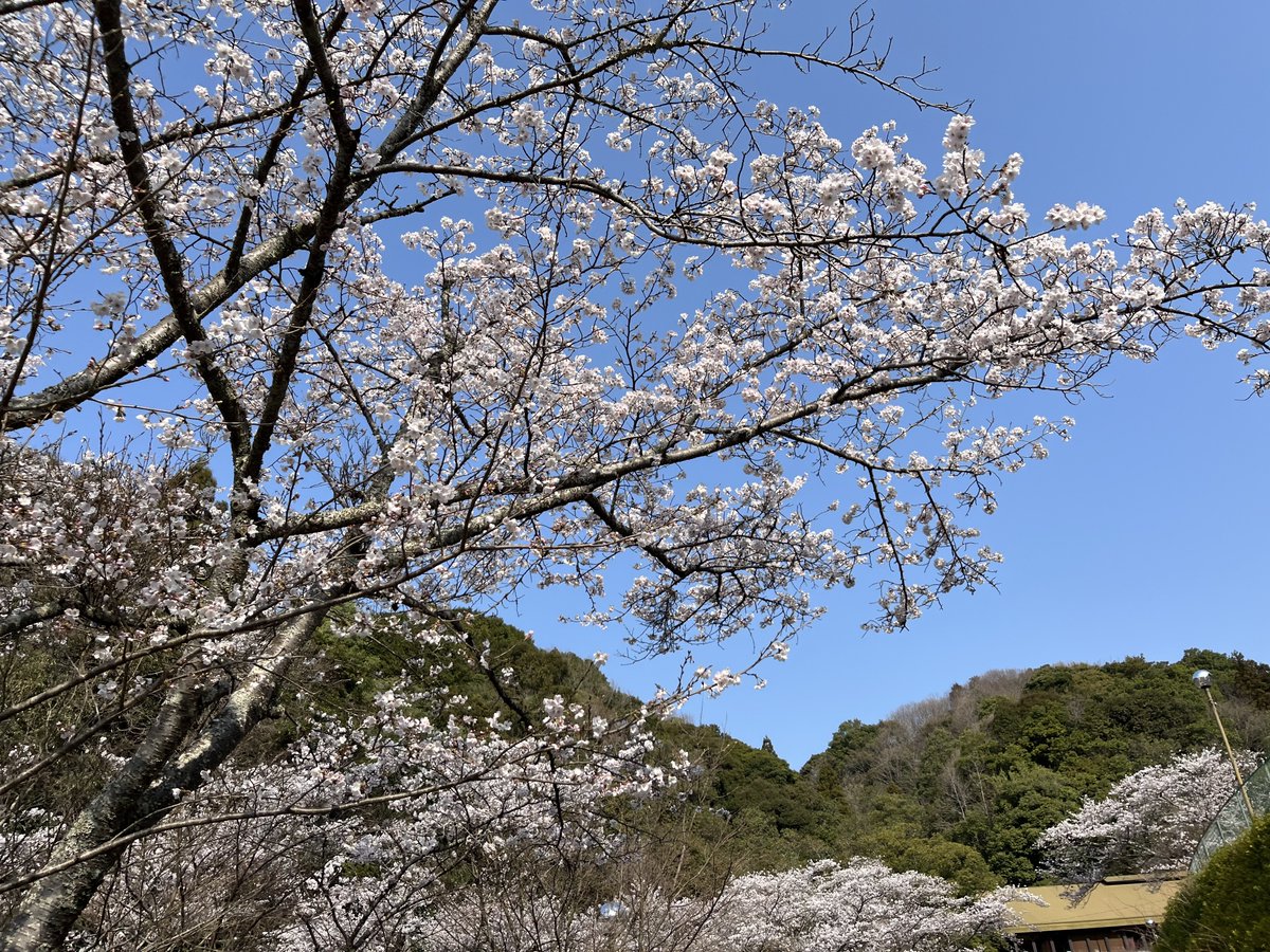 はりゅ tweet media