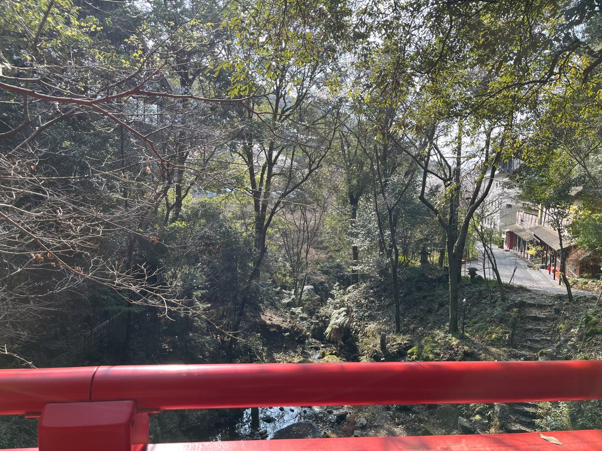 はりゅ tweet media