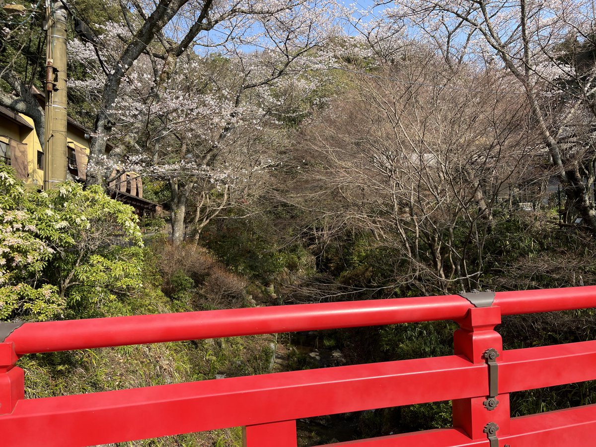 はりゅ tweet media