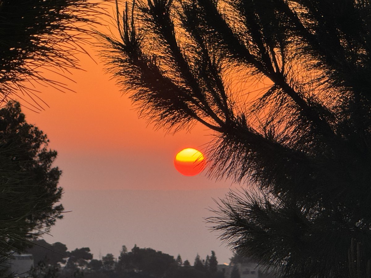 Ambassador Mike Huckabee tweet media