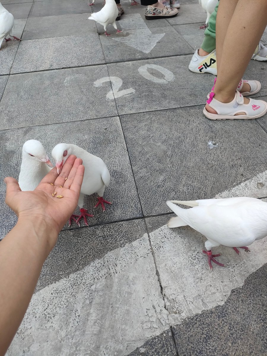 EZZINA ATEF tweet media