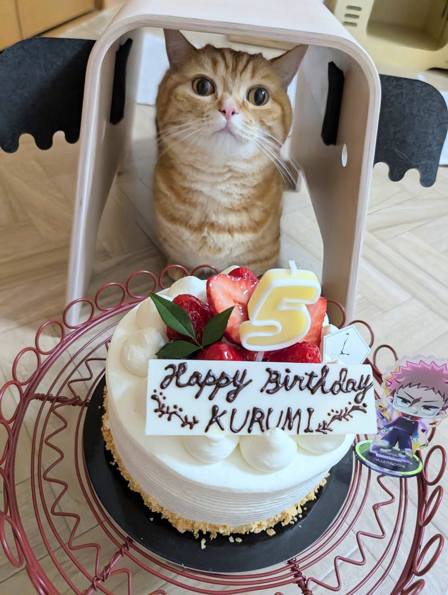 クロヒロとくるみ tweet media