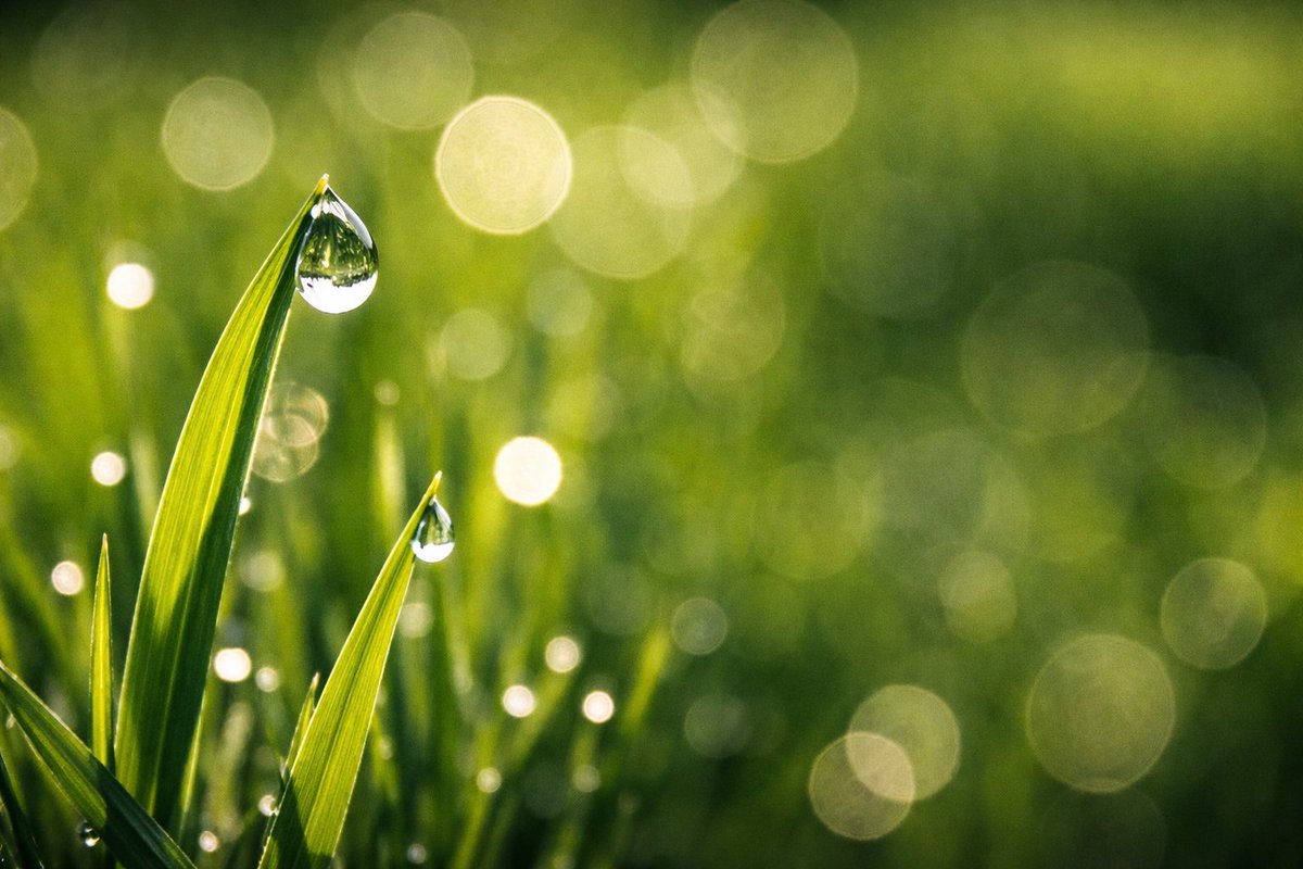 A Simple Life tweet media