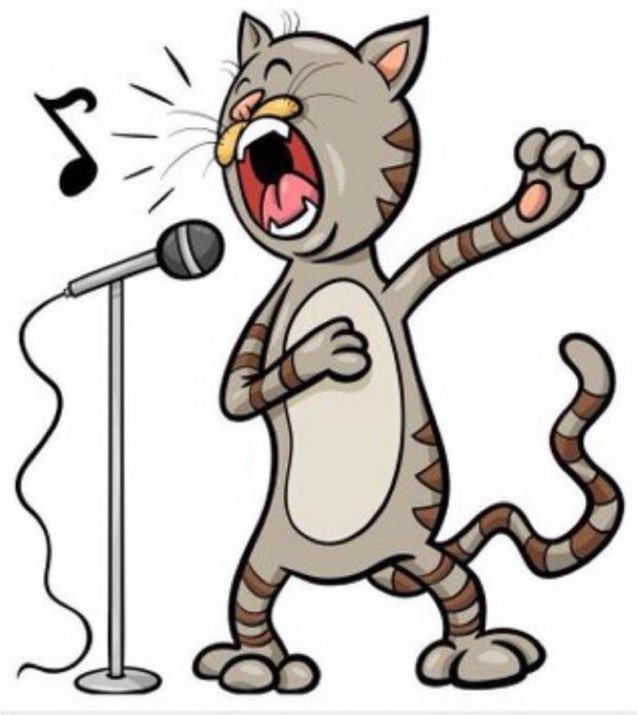 Eng.Ariah💞 tweet media