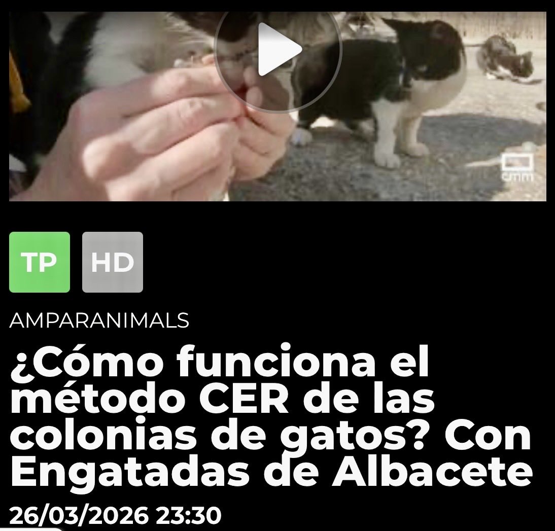 enGatadas tweet media