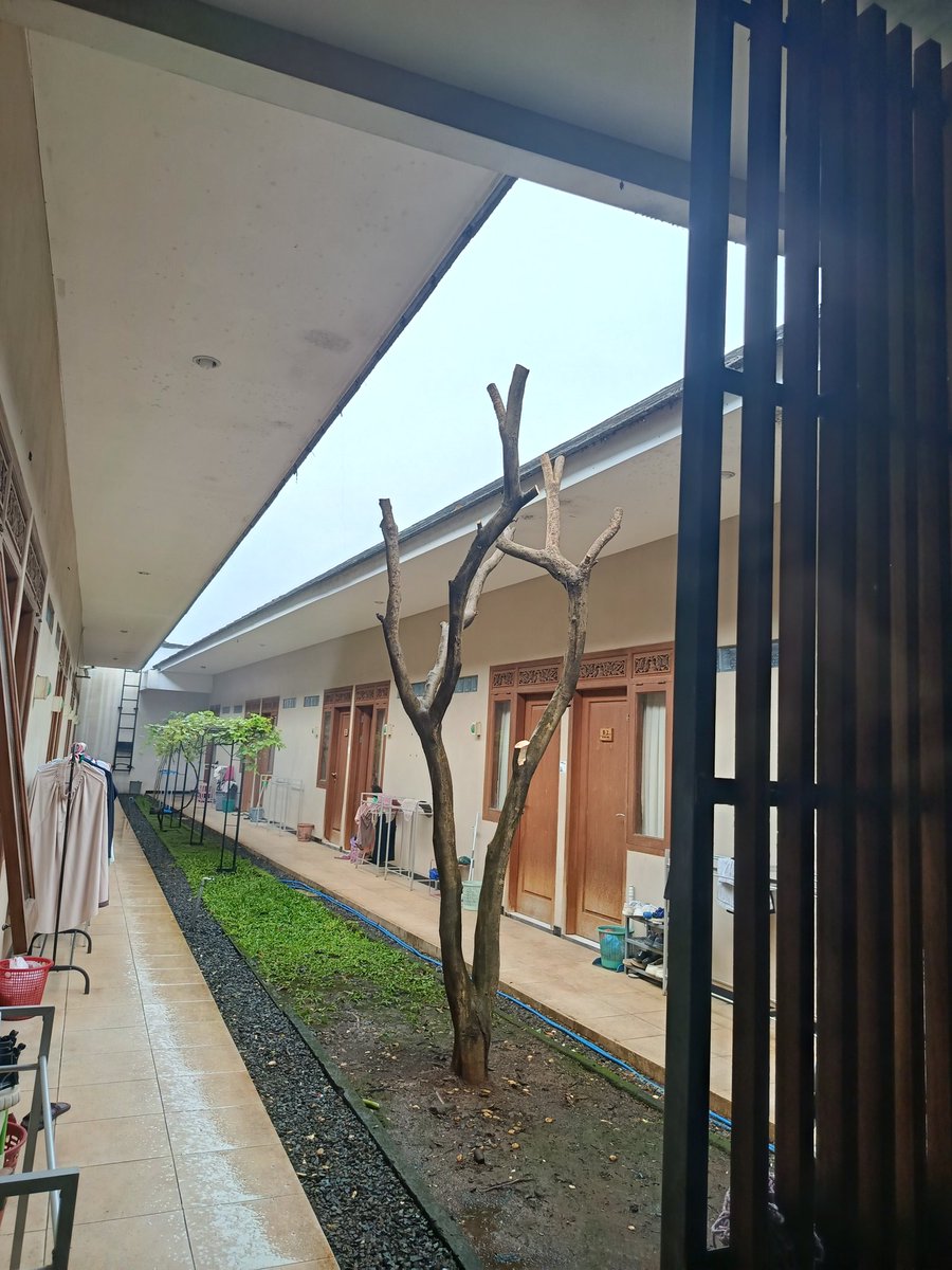 Angg Naes tweet media