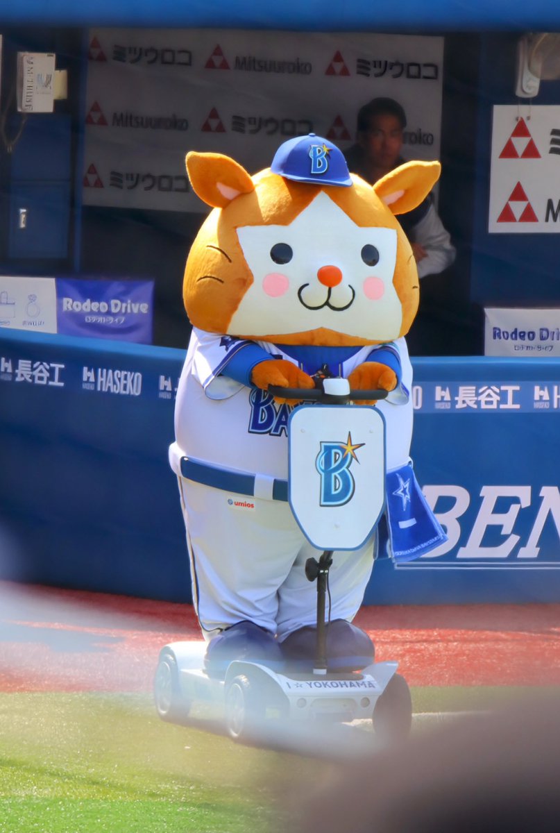 あんり ena tweet media