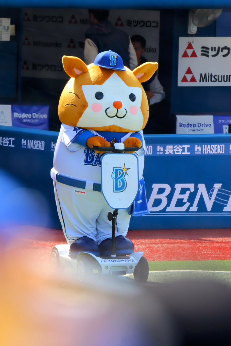 あんり ena tweet media