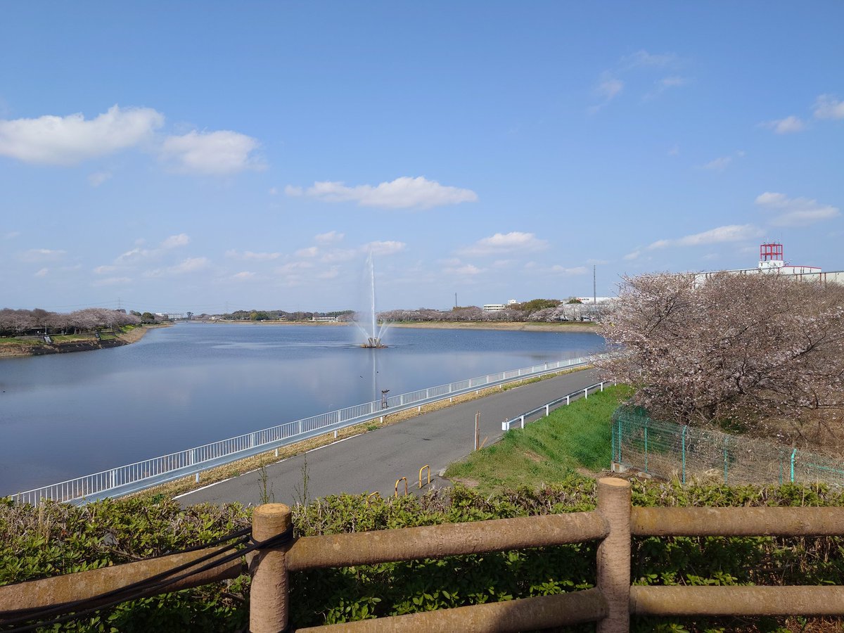 Aokashi (あおかし) tweet media