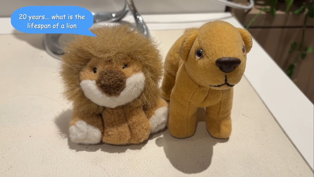 bella ⚞•⚟ tweet media