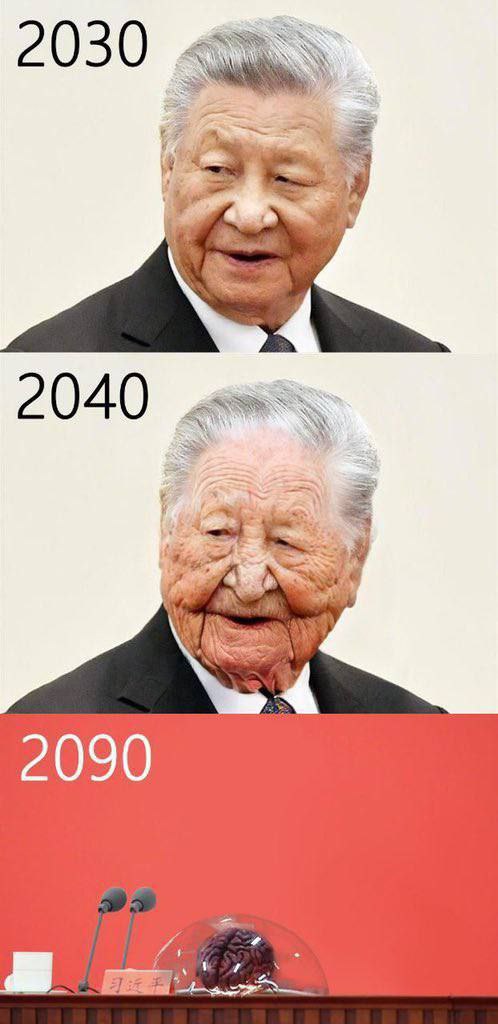 Tiny Reverie🇺🇸✝️ tweet media