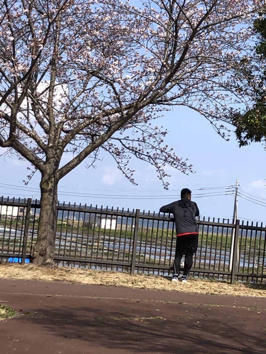 はっぱ🌱 tweet media