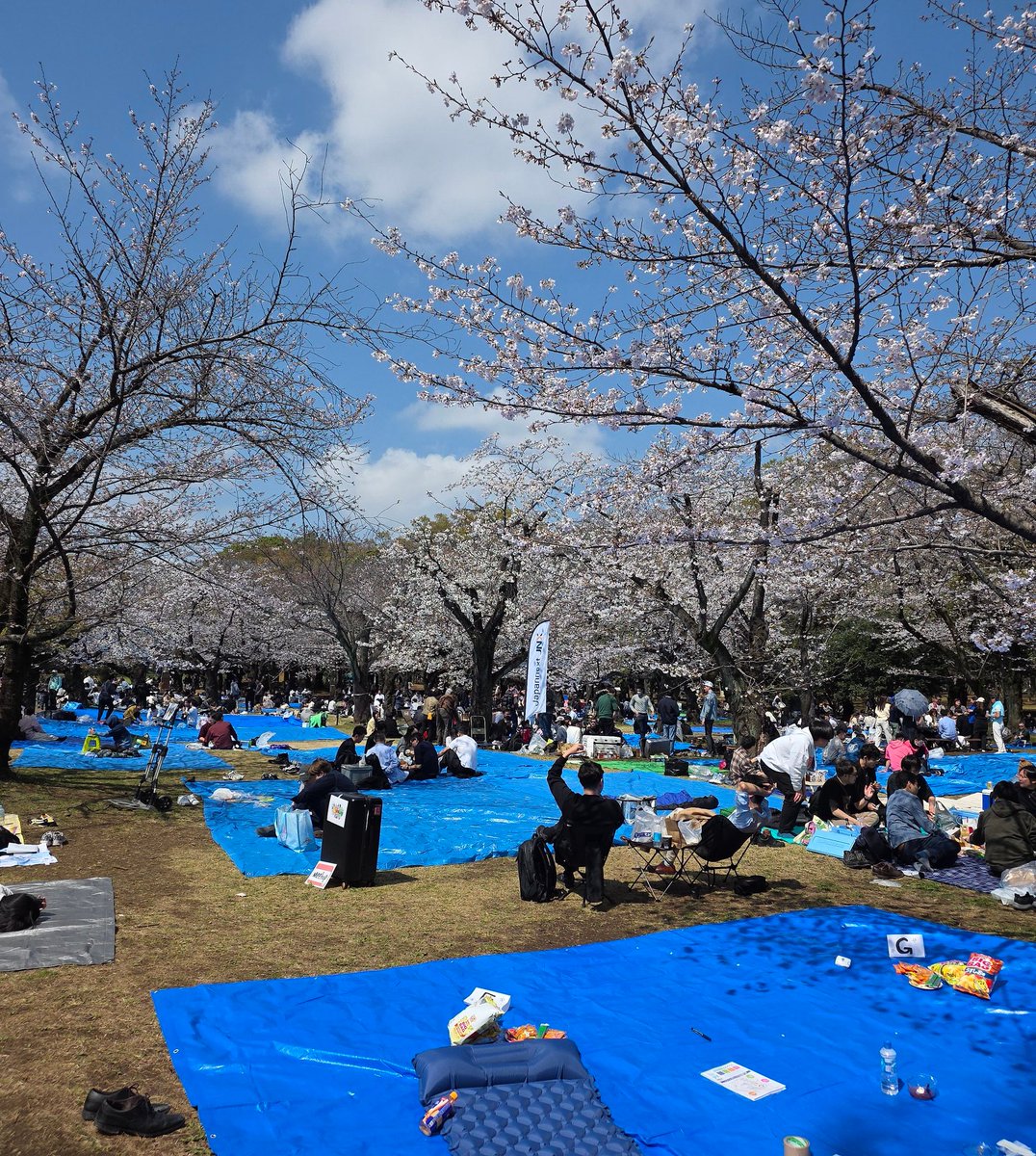 城島ジョージ🍣デザフェス63【F123】 tweet media