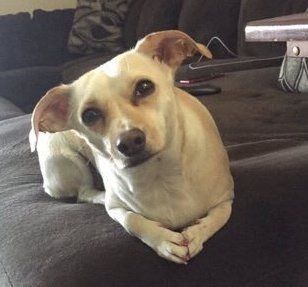 Robinson Murithi tweet media