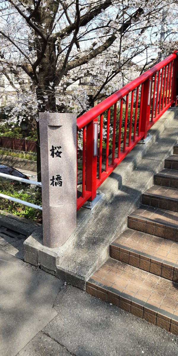 oton_kai's tweet photo. 今日はここ🌸🌸
  #さくら坂
 #お花見
 #いい天気 https://t.co/c7GmO9jyJM