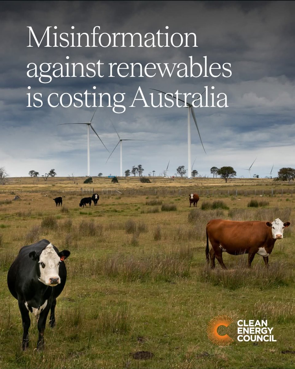 tedbembo tweet media