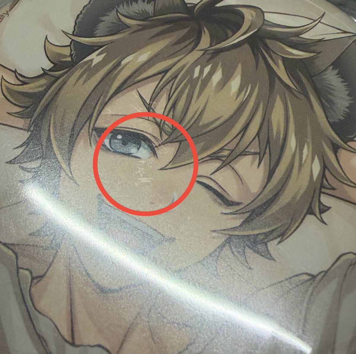 かれーらいす tweet media