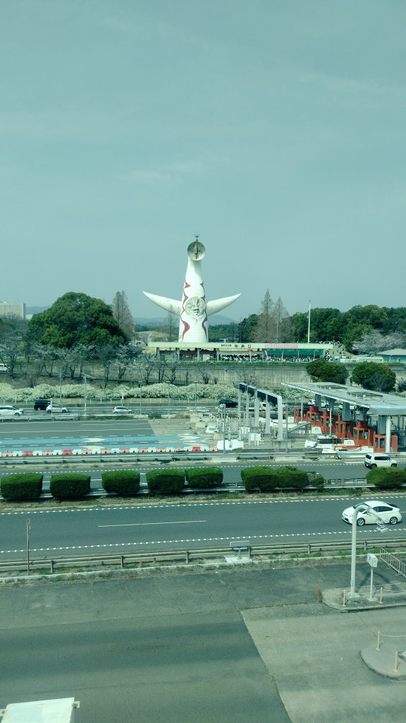 みやみや🍽 tweet media