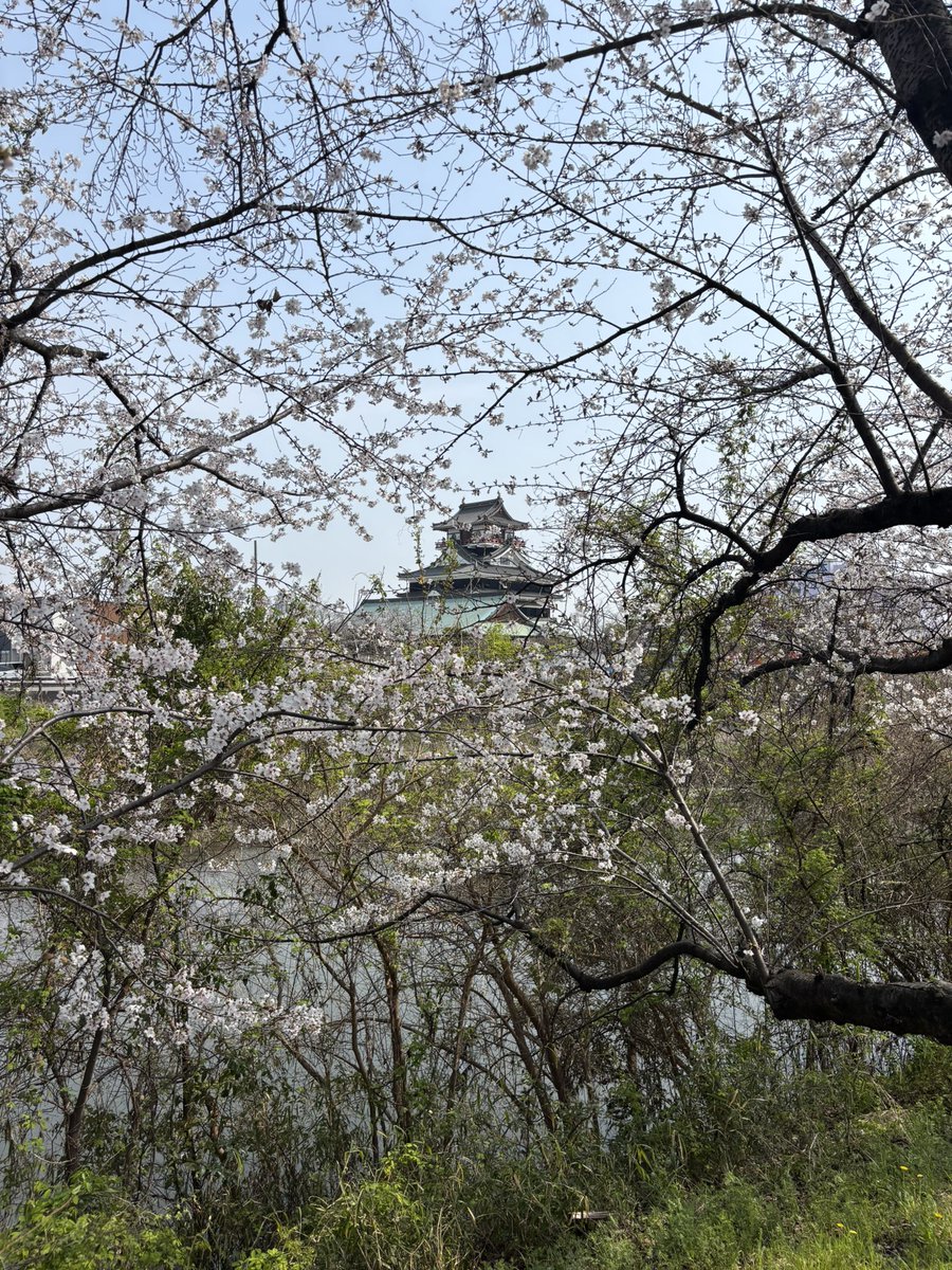 (明智)えっくん tweet media