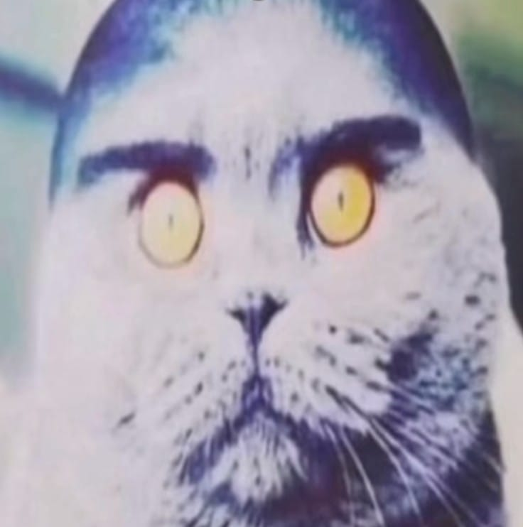 Fabo_dev tweet media