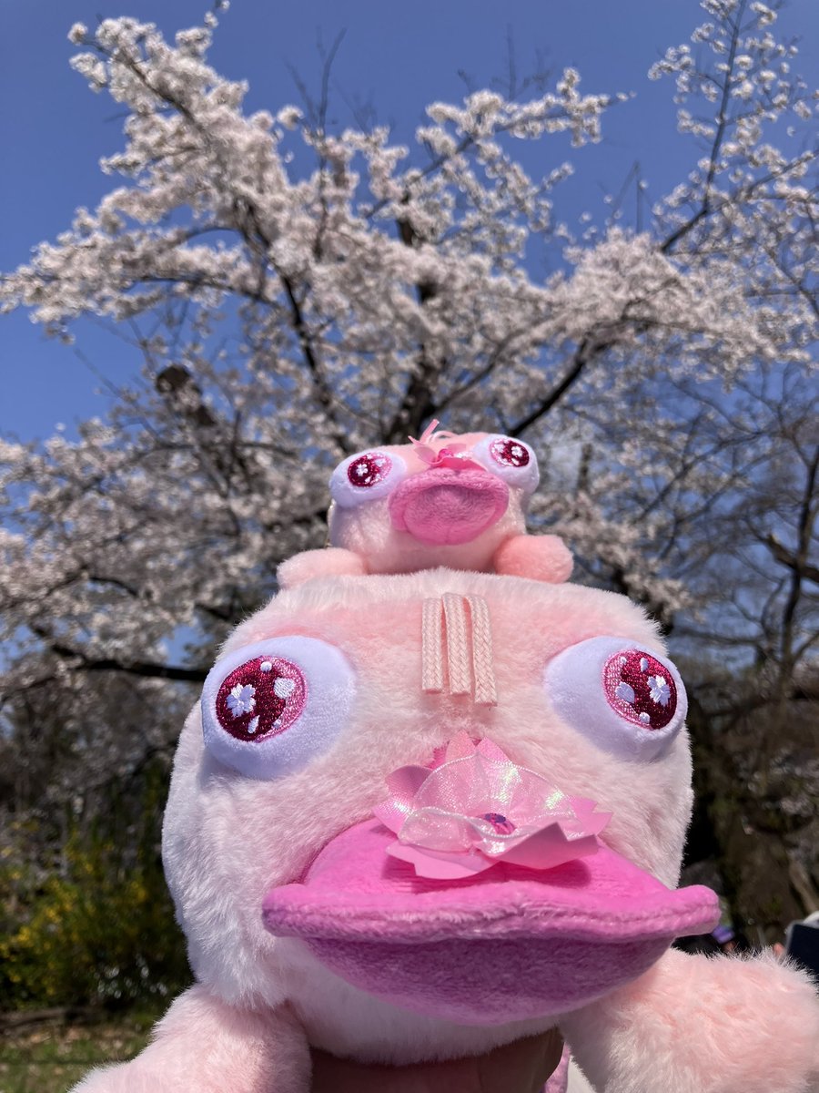 みさ@D垢 tweet media