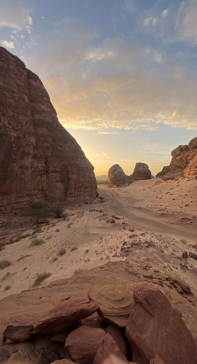 بلانكو tweet media