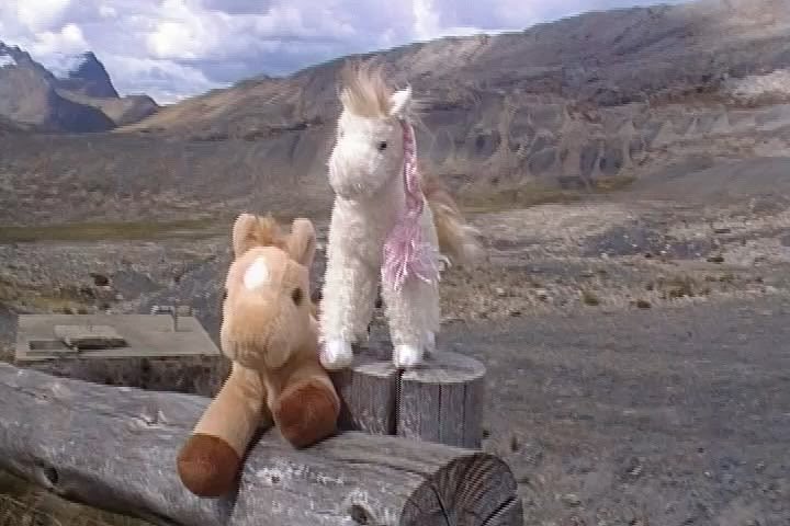 ꒰ঌ ໒꒱ tweet media