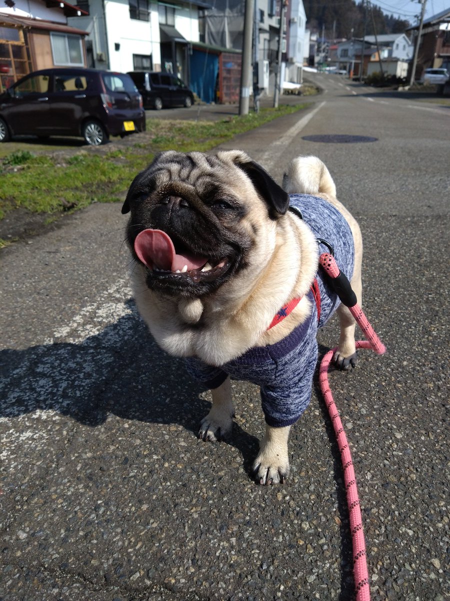 ころも tweet media