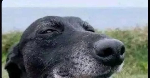 DetachedObserver tweet media