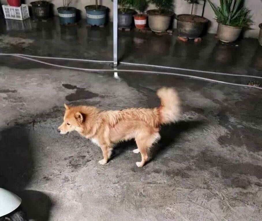 ايوب الفلاح tweet media