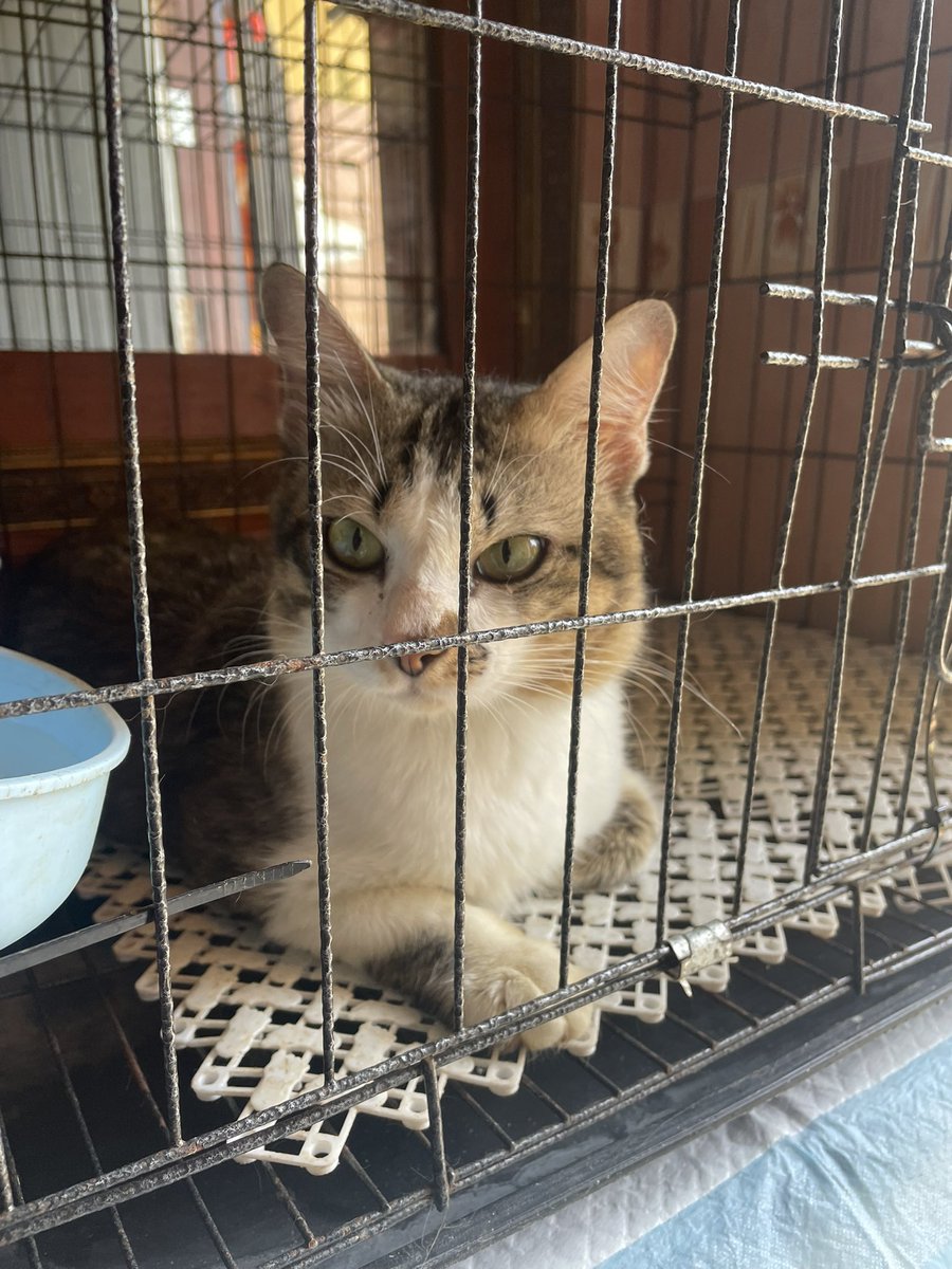 نینا✨ tweet media