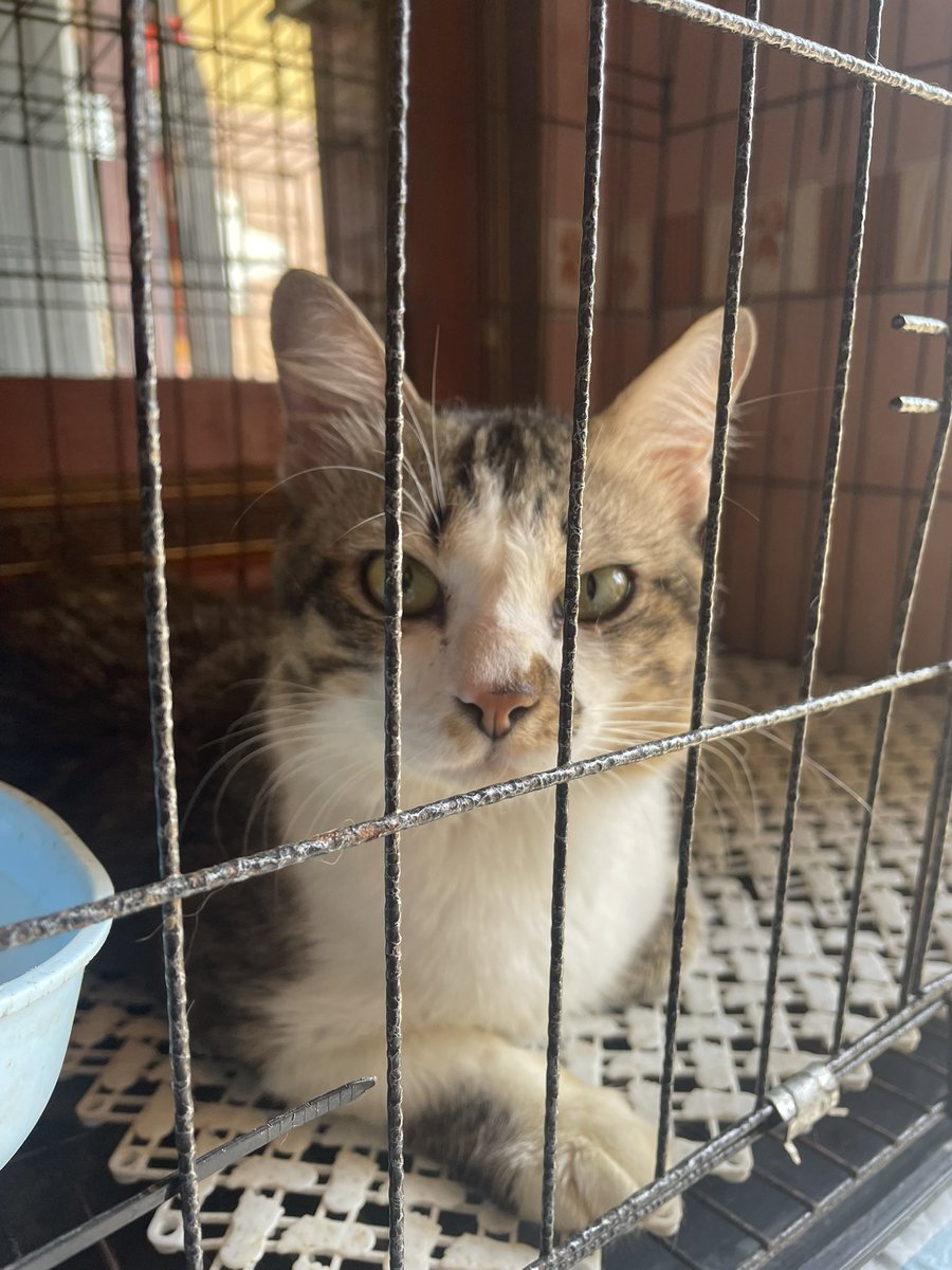 نینا✨ tweet media