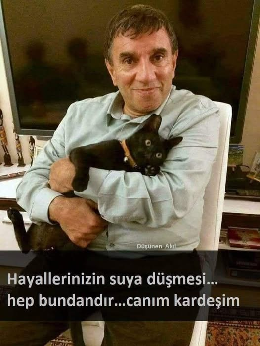 ihtiyar_33_ tweet media