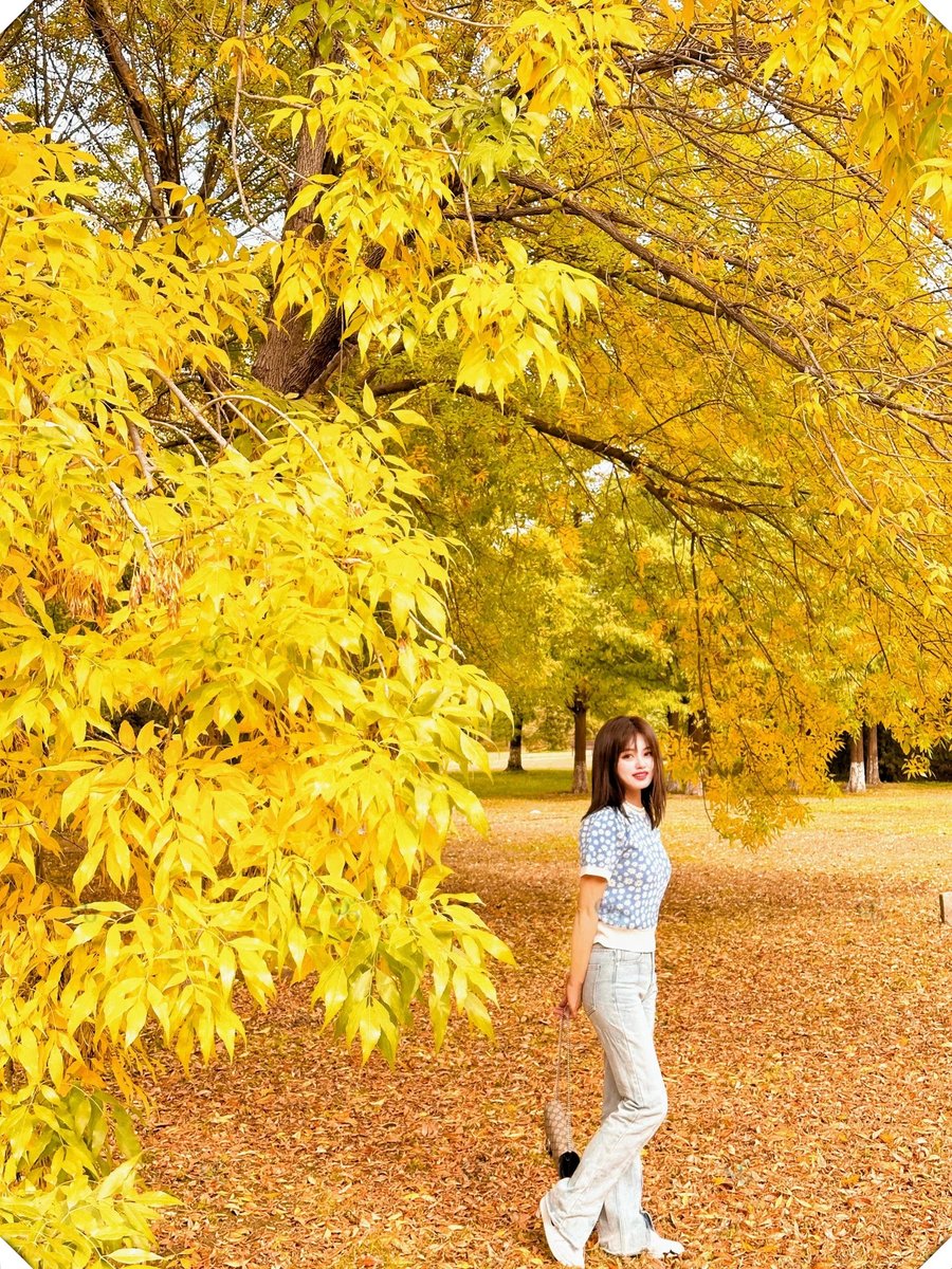 darrell luce tweet media