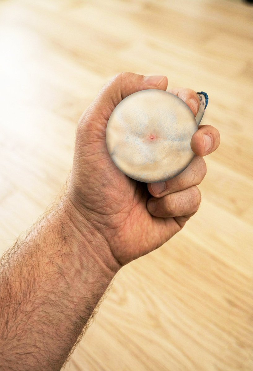 AndresTfs tweet media