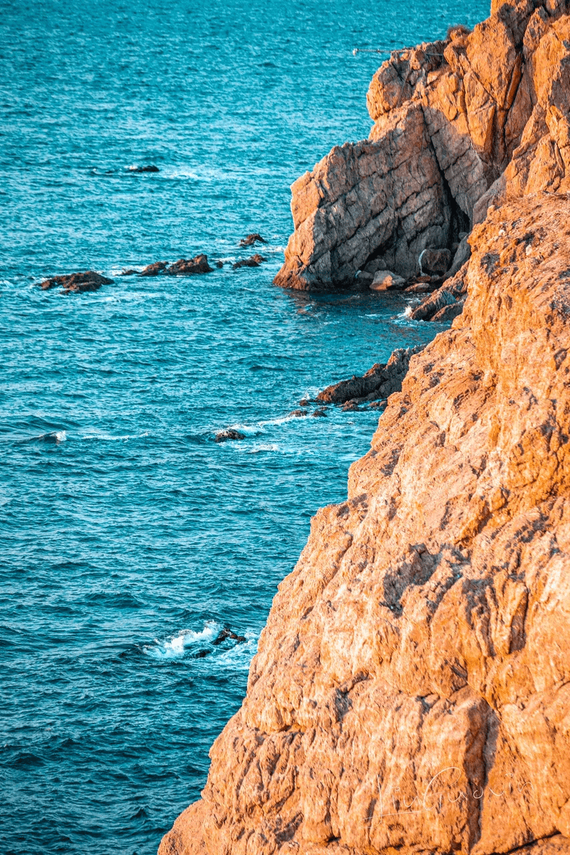 Dushen,Carter tweet media