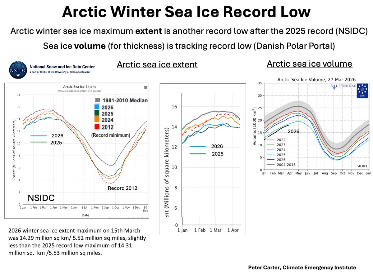 THE INTERNATIONAL GRAPH IC 雪舟、雪村 ARCTIC WINTER SEA ICE RECORD LOW- MARCH 2026 Arctic winter sea ice