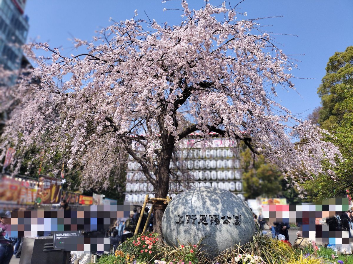 きちここはな🐰1級FP技能士 tweet media