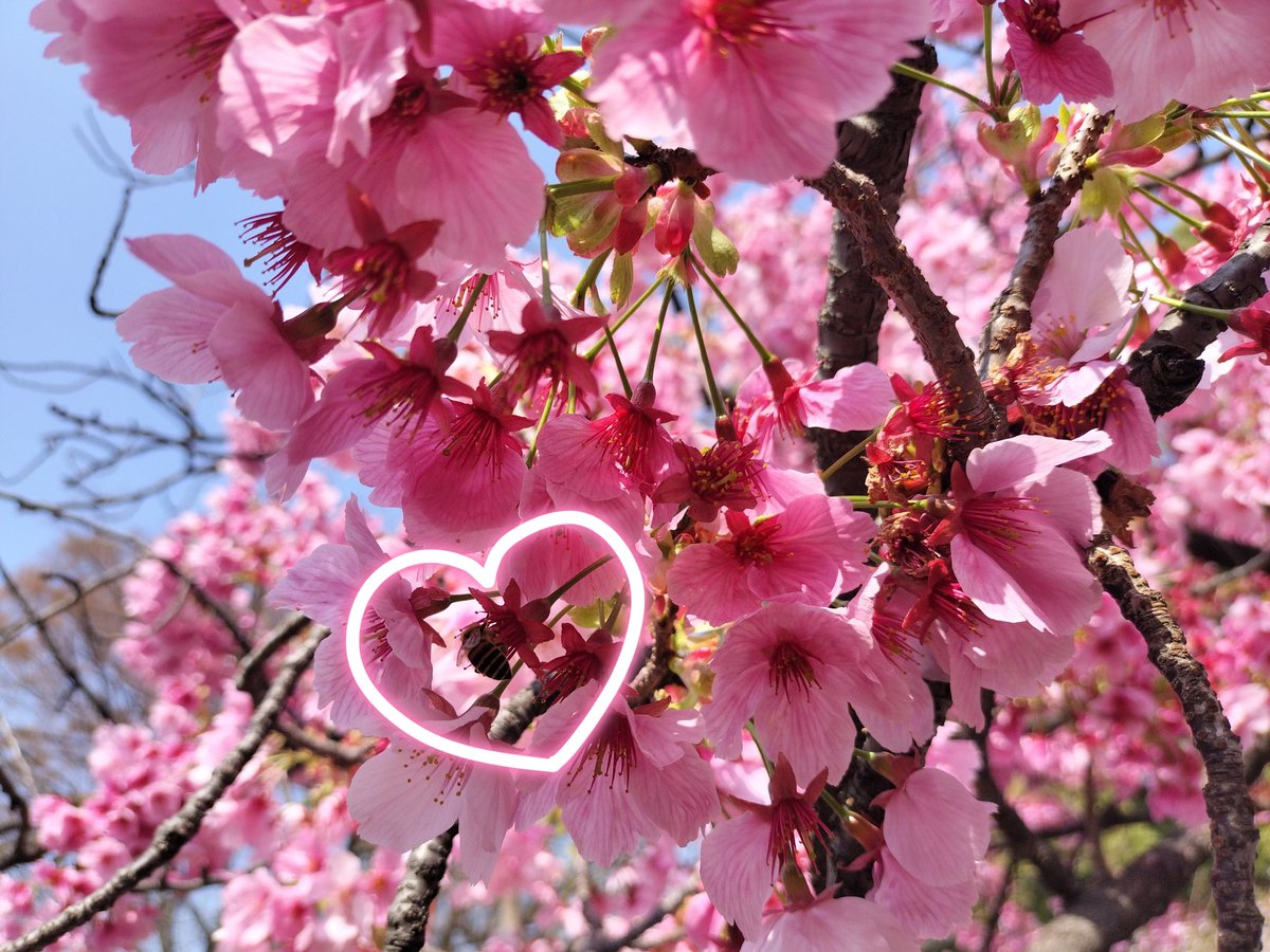 きちここはな🐰1級FP技能士 tweet media