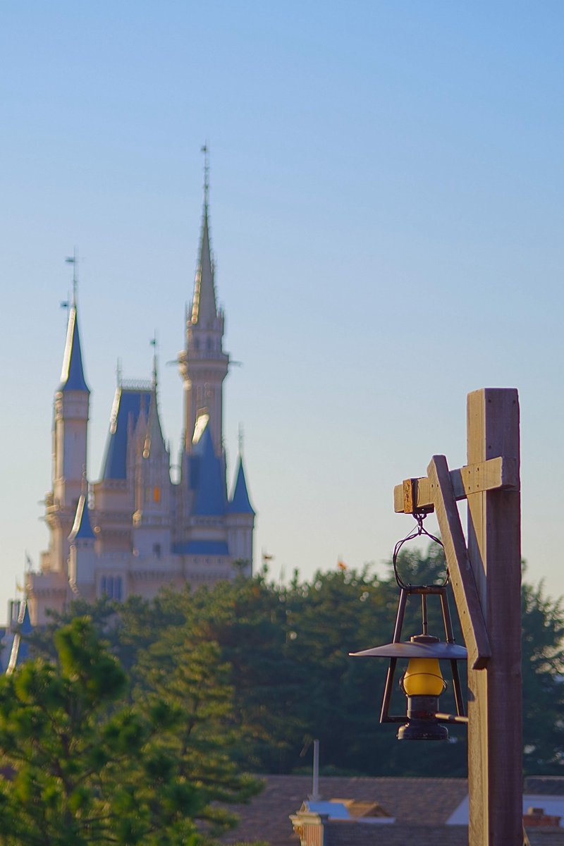 Kizさん tweet media